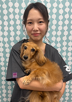 平塚 優子